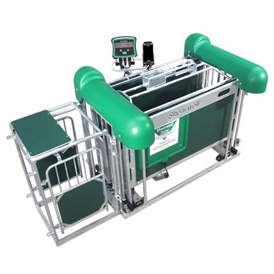 Picture of RFID Sheep Automatic Drafting Crate