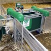 Picture of RFID Sheep Automatic Drafting Crate