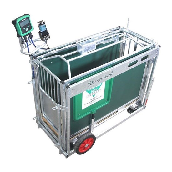 Picture of RFID Sheep Management Crate