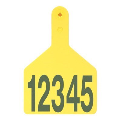 Picture of S-Tag | Layout 1