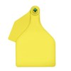 BOS XL Female + Large Male | Blank Write-on Tag