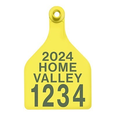 Picture of BOS XL Female | Layout 4 | Cattle