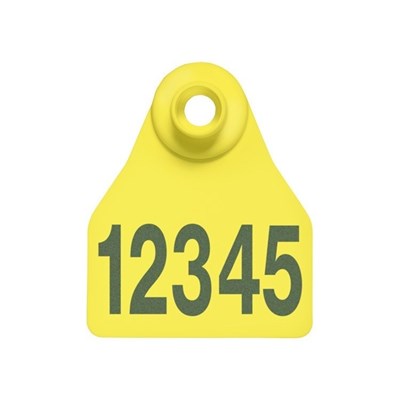 Picture of BOS Small Female | Layout 1 | Sheep Ear Tag