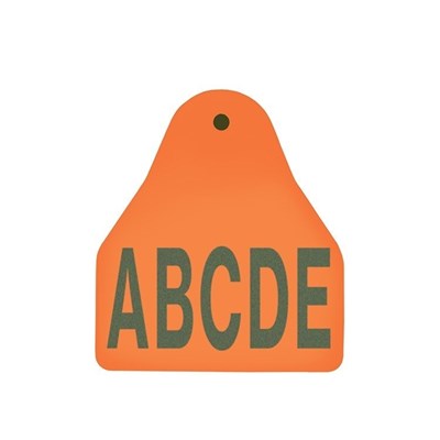 Picture of Small Male BOS | Layout 3 | Sheep Ear Tag