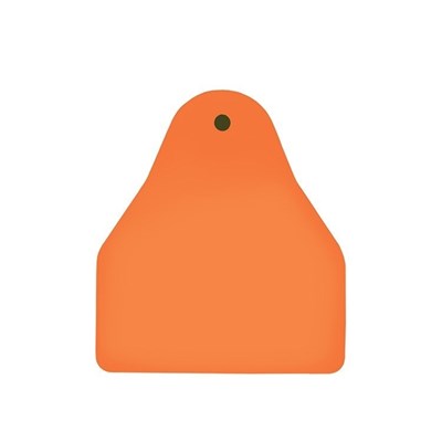 Picture of Small Male BOS | Blank Write-On Tag | Sheep