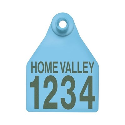 Picture of BOS Large Female | Layout 2 | Cattle