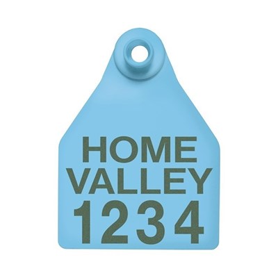 Picture of BOS Large Female | Layout 3 | Cattle