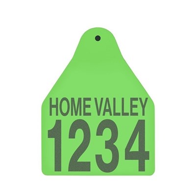 Picture of BOS Large Male | Layout 2 | Cattle