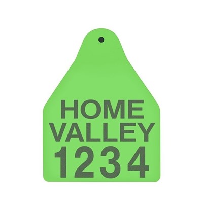 Picture of BOS Large Male | Layout 3 | Cattle