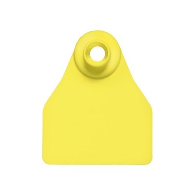 Picture of Small Female BOS | Blank Write-On Tag | Cattle