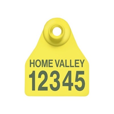 Picture of BOS Small Female | Layout 2 | Cattle