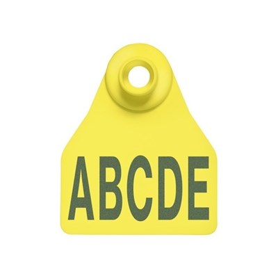 Picture of BOS Small Female | Layout 3 | Cattle