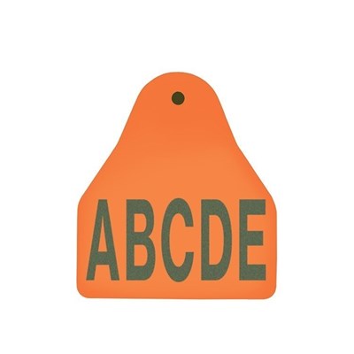 Picture of BOS Small Male | Layout 3 | Cattle