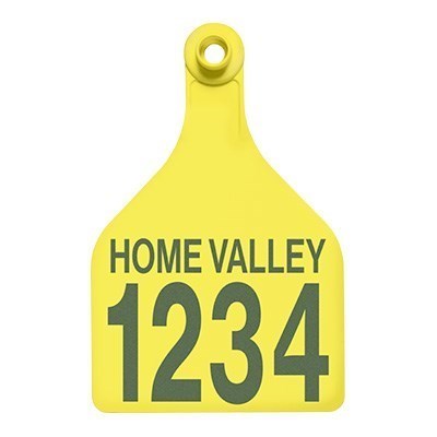 Picture of BOS XL Female | Layout 2 | Sheep