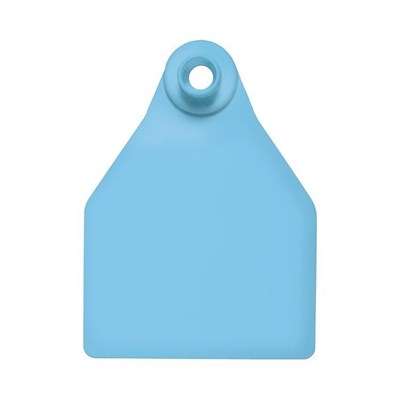 Picture of Large Female BOS | Blank write-on tag | Sheep