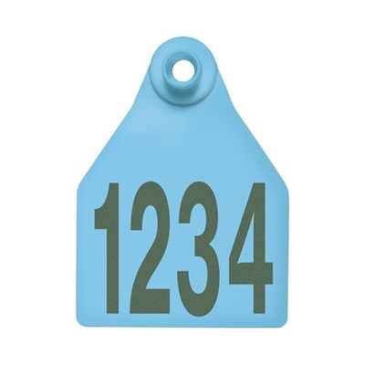 Picture of BOS Large Female |  Layout 1 | Sheep