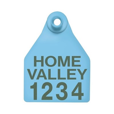 Picture of BOS Large Female | Layout 3 | Sheep