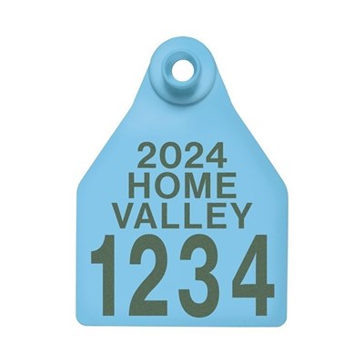 Picture of BOS Large Female | Layout 4 | Sheep