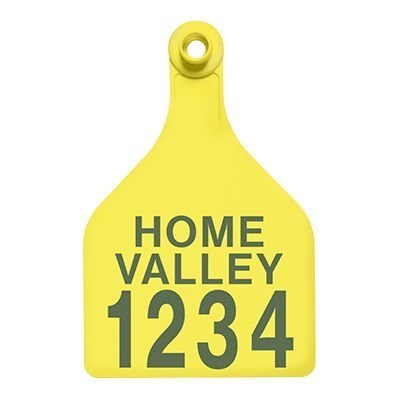 Picture of BOS XL Female | Layout 3 | Sheep