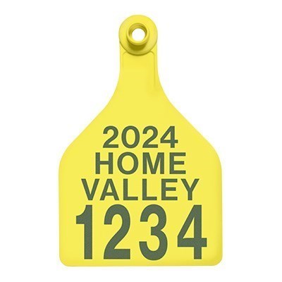 Picture of BOS XL Female | Layout 4 | Sheep