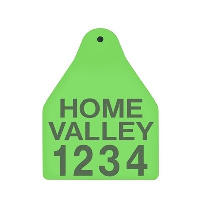 Picture of BOS Large Male | Layout 3 | Sheep