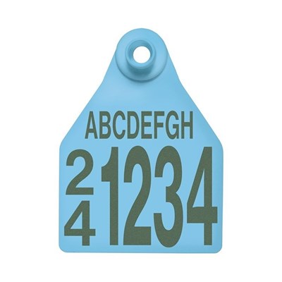 Picture of BOS Large Female | Layout 5 | Sheep