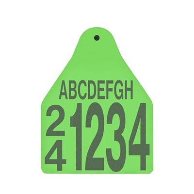 Picture of BOS Large Male | Layout 5 | Sheep