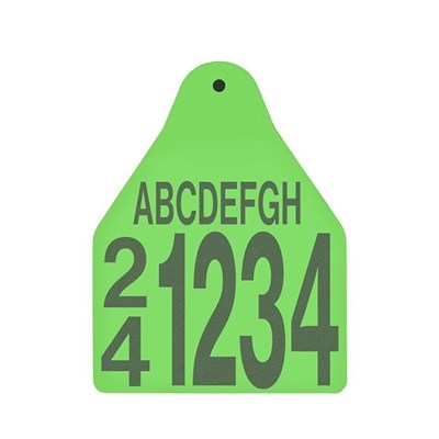 Picture of BOS Large Male | Layout 5 | Cattle