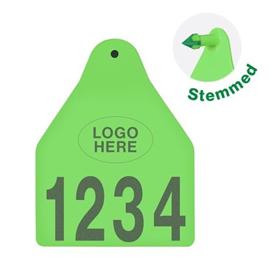 Picture of Large Male BOS |  Layout 1 + Logo | Cattle