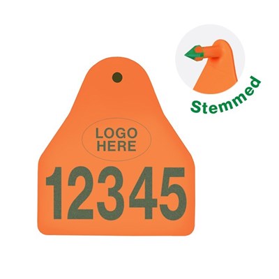 Picture of Small Male BOS | Layout 1 + Logo | Cattle