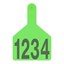 Picture of XL Cow S-Tag | Layout 1