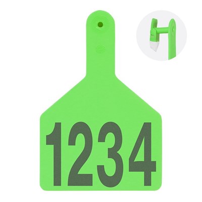 Picture of XL Cow S-Tag | Layout 1