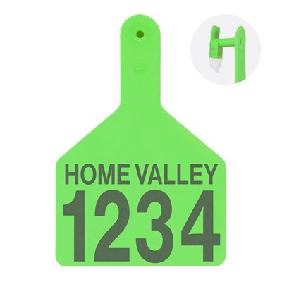 Picture of XL Cow S-Tag | Layout 2